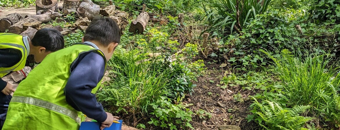 Year 3 trip to the Centre for Wildlife Gardening