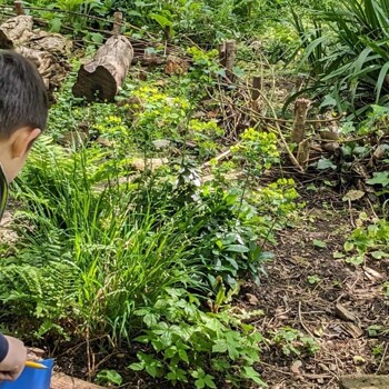 Year 3 trip to the Centre for Wildlife Gardening