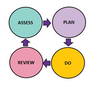 Assess plan do review